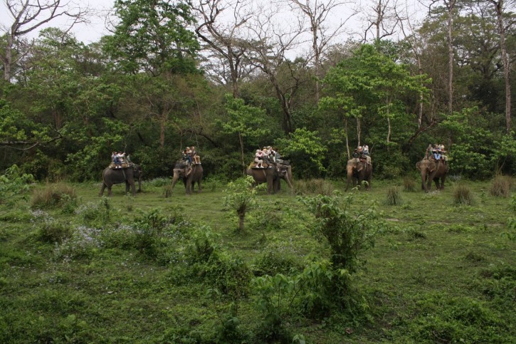 Parsa Wildlife Reserve